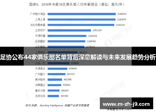 足协公布44家俱乐部名单背后深意解读与未来发展趋势分析