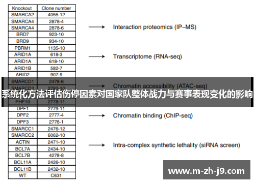 系统化方法评估伤停因素对国家队整体战力与赛事表现变化的影响