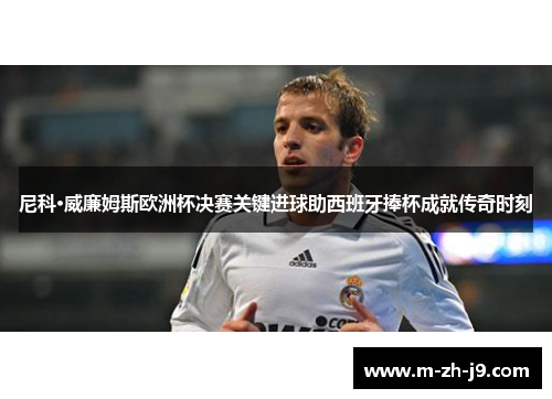 尼科·威廉姆斯欧洲杯决赛关键进球助西班牙捧杯成就传奇时刻