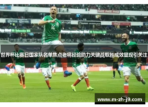世界杯比赛日国家队名单焦点老将经验助力关键战取胜成效显现引关注 世界杯比赛日国家队名单焦点老将经验助力关键战取胜成效显现引关注
