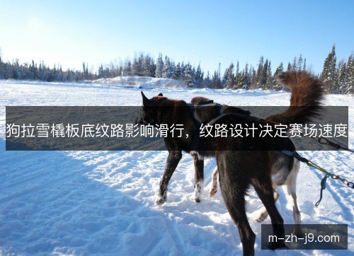 狗拉雪橇板底纹路影响滑行，纹路设计决定赛场速度